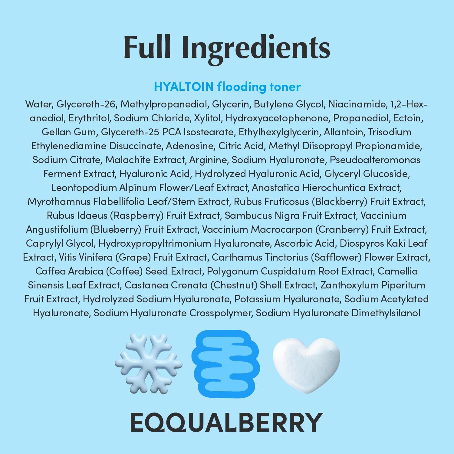 image:imageEQQUALBERRY Hyaltoin Flooding Toner MoistureRich Hydrogel Toner for Deep Hydration Cooling Essence Texture Hyaluronic Acid amp Ectoin MakeupReady Skin 507 floz 150ml