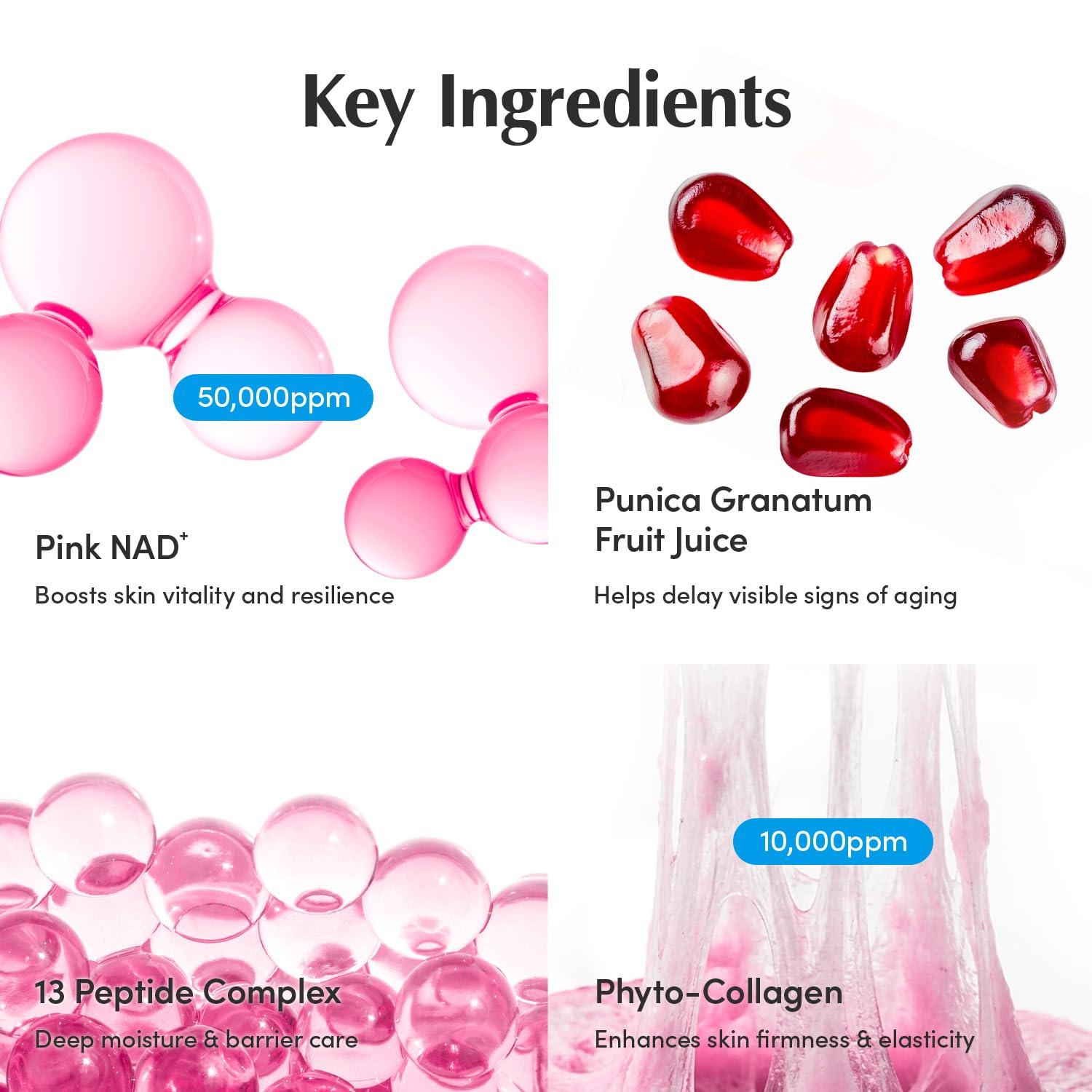 image:imageEQQUALBERRY NAD Peptide Boosting Cream Pack of 2 NAD 5 amp 13 Peptides AntiAging Face amp Body Cream Firming amp Lifting Pink Neck Cream for Sagging Skin 169 floz 2ea2 Pack